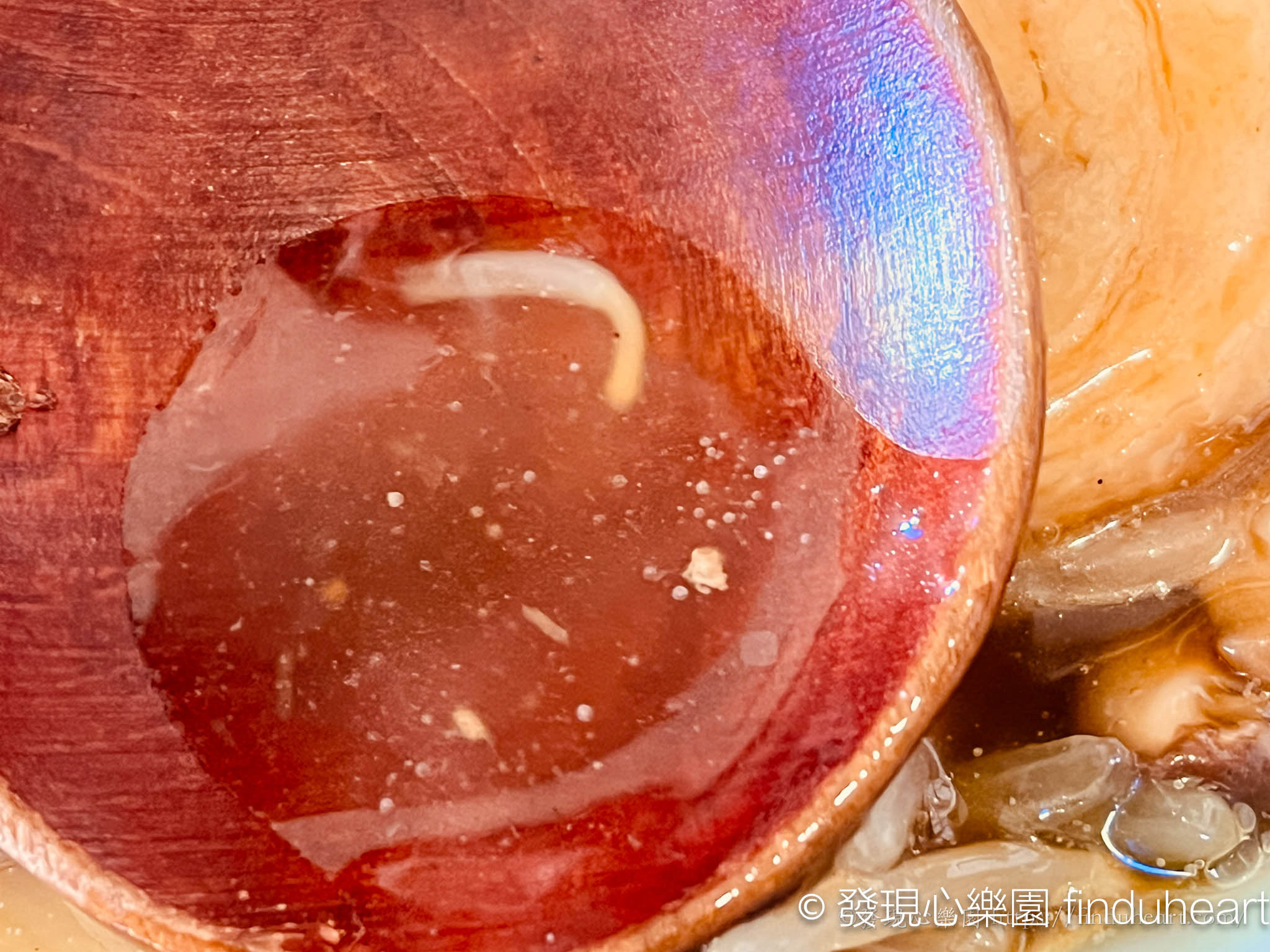 日光中禪寺湖周邊美食推薦:隱藏版「らーめん屋敷」忍者味噌拉麵 日光中禪寺湖周邊美食推薦:隱藏版「らーめん屋敷」忍者味噌拉麵