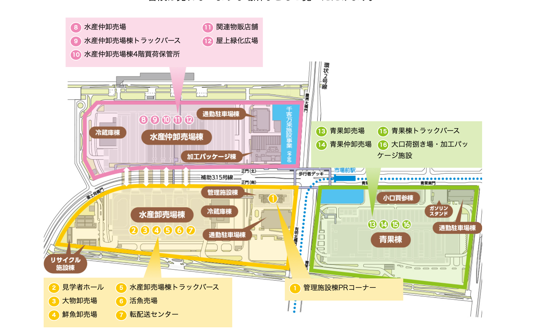 豐州市場休市日 築地場內市場店家位置介紹 發現心樂園