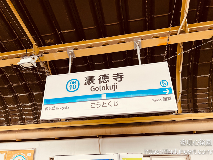 日本東京三大招財貓神社：世谷區豪德寺，除了招財還可以招福