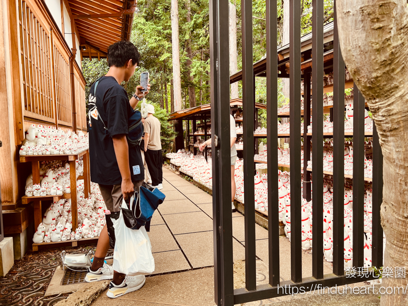 日本東京三大招財貓神社：世谷區豪德寺，除了招財還可以招福