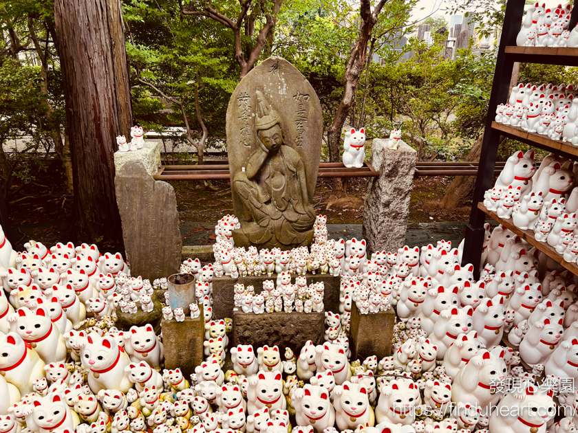 日本東京三大招財貓神社：世谷區豪德寺，除了招財還可以招福
