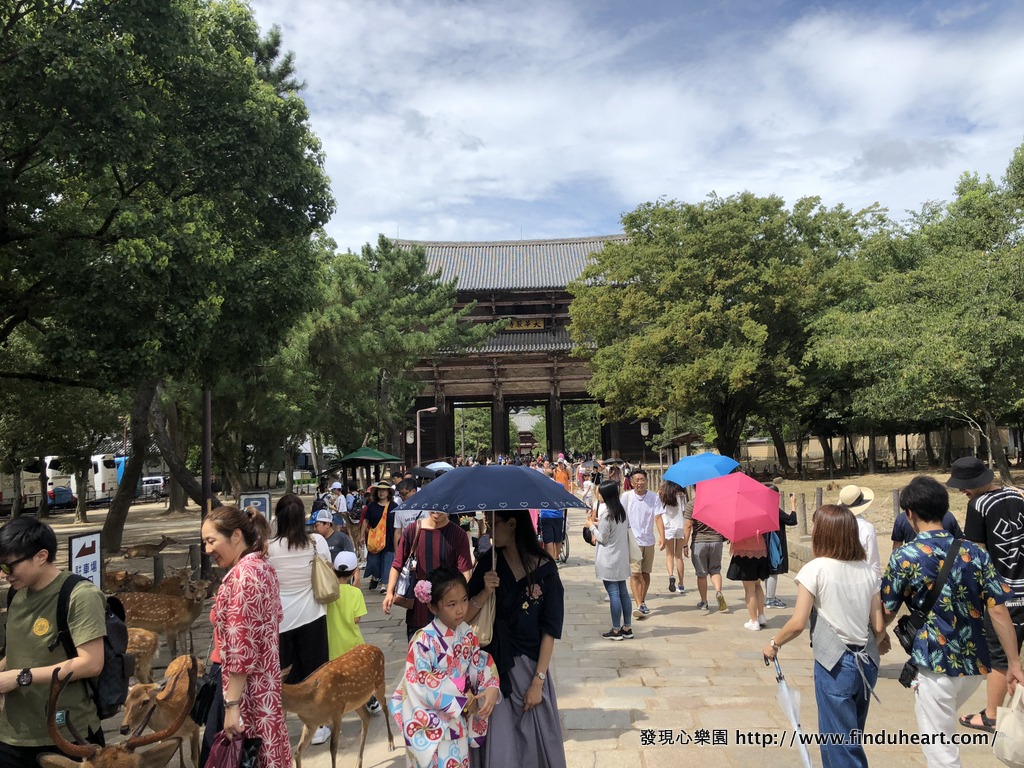 奈良東大寺：世界最大的木造建築 Todaiji Temple