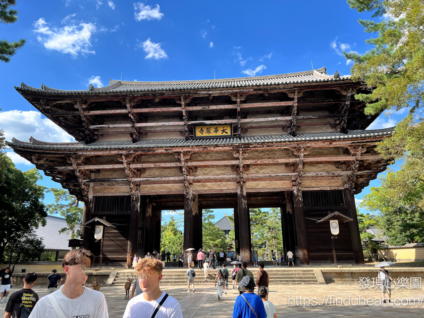 奈良東大寺：世界最大木造建築與神鹿共舞的日本之旅