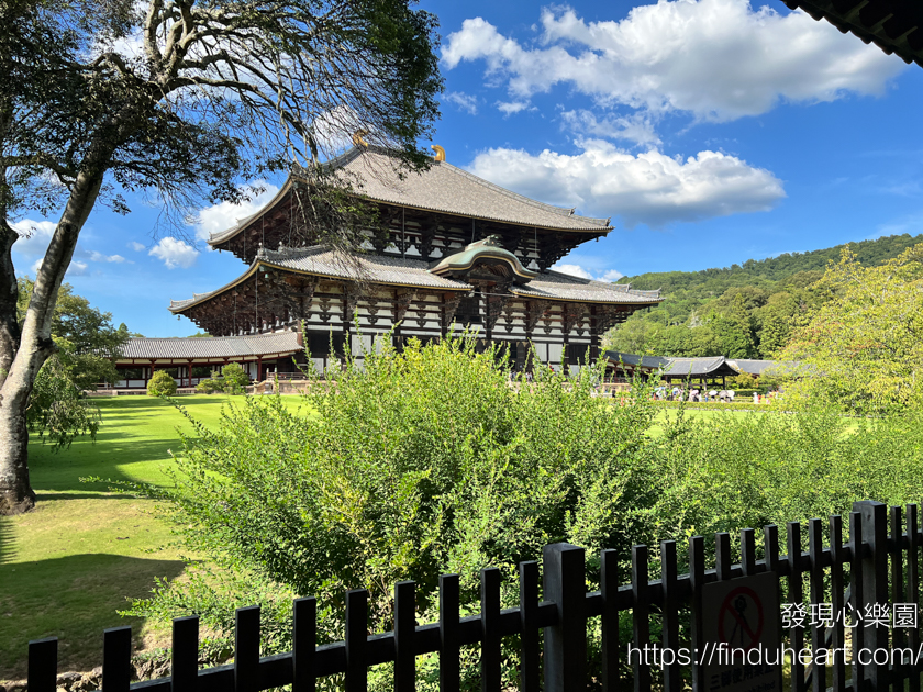 奈良東大寺：世界最大木造建築與神鹿共舞的日本之旅