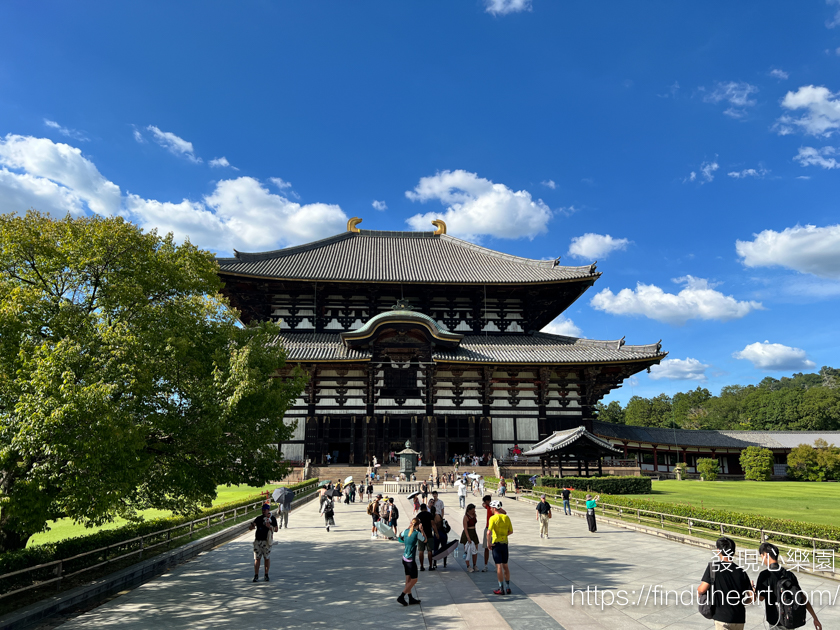 奈良東大寺：世界最大木造建築與神鹿共舞的日本之旅