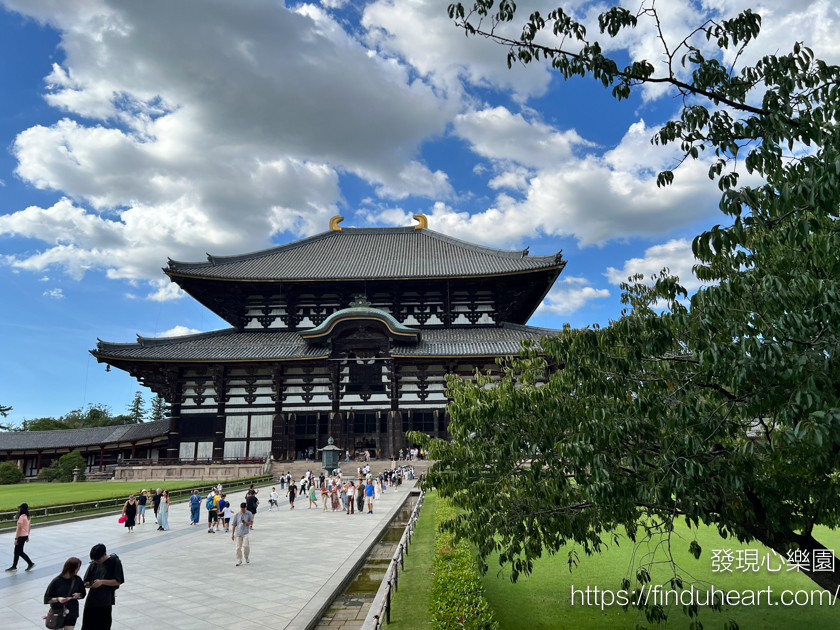奈良東大寺：世界最大木造建築與神鹿共舞的日本之旅