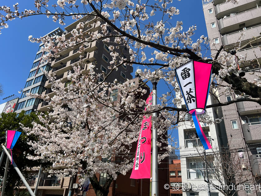 2025東京賞櫻景點推薦--隅田公園櫻花祭/墨堤さくらまつり（Sumida Park）