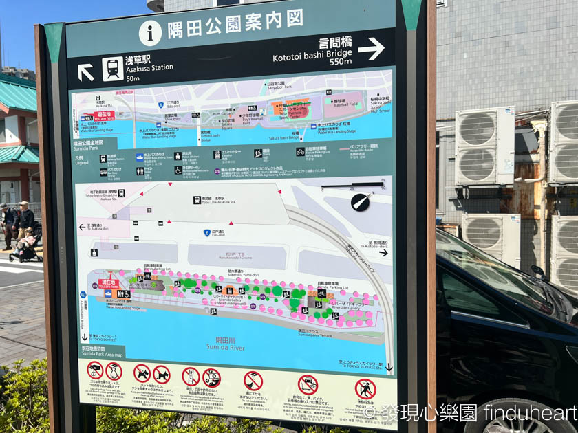 2025東京賞櫻景點推薦--隅田公園櫻花祭/墨堤さくらまつり（Sumida Park）