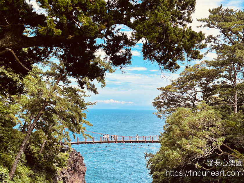 從東京出發的關東一日遊：伊豆大室山＆城崎海岸＆箱根神社