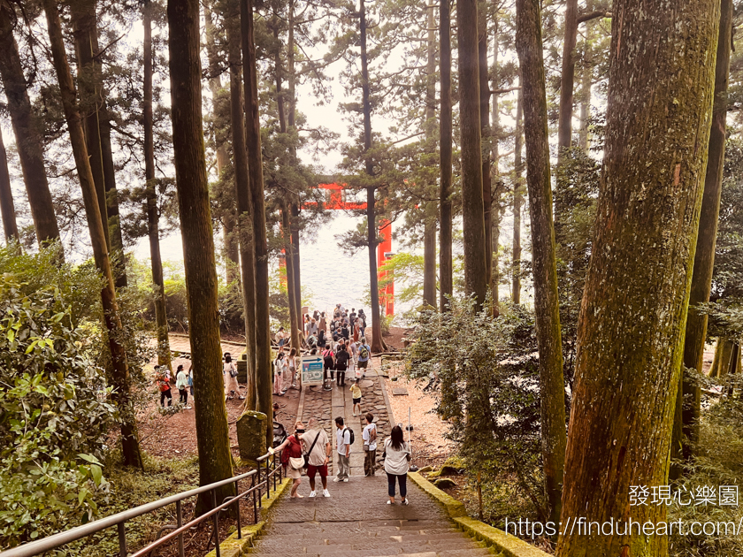 從東京出發的關東一日遊：伊豆大室山＆城崎海岸＆箱根神社