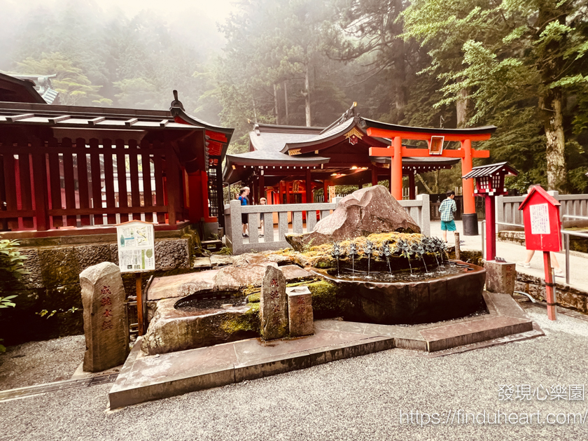 從東京出發的關東一日遊：伊豆大室山＆城崎海岸＆箱根神社