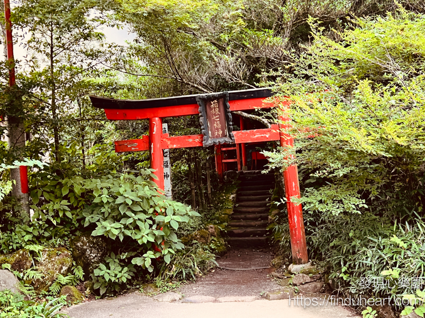 從東京出發的關東一日遊：伊豆大室山＆城崎海岸＆箱根神社