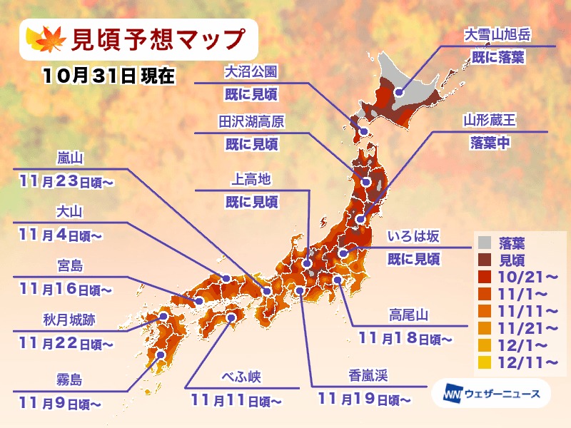 2024日本銀杏＆紅葉賞楓時間表/紅葉預測