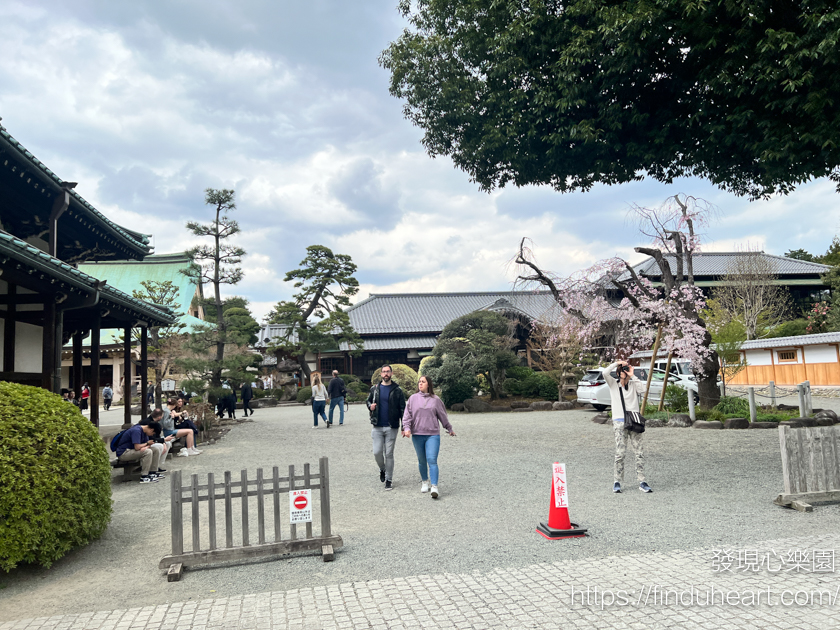 日本東京三大招財貓神社：世谷區豪德寺，除了招財還可以招福
