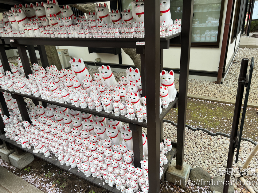 日本東京三大招財貓神社：世谷區豪德寺，除了招財還可以招福
