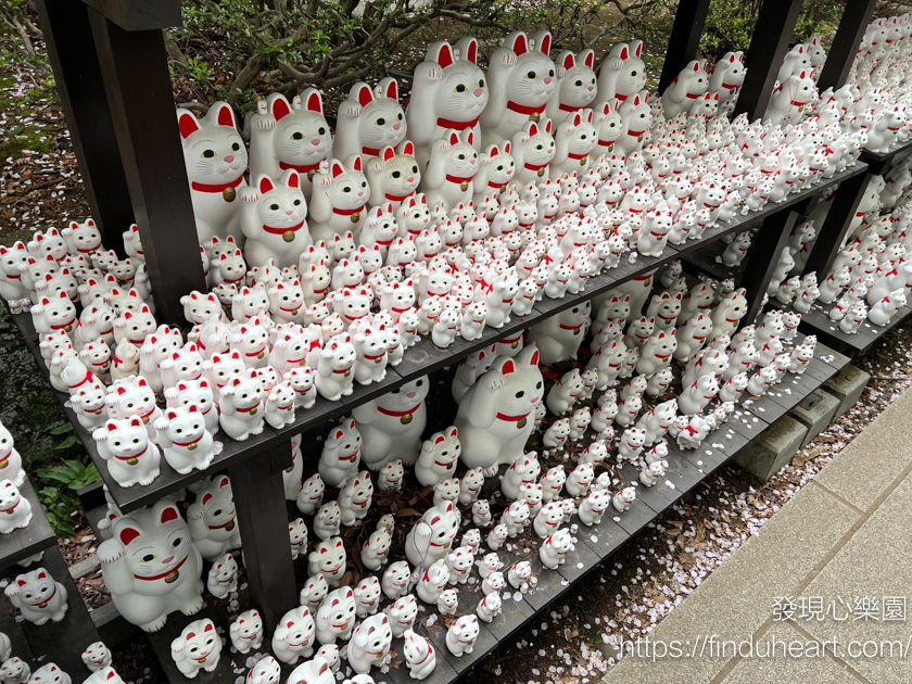 日本東京三大招財貓神社：世谷區豪德寺，除了招財還可以招福