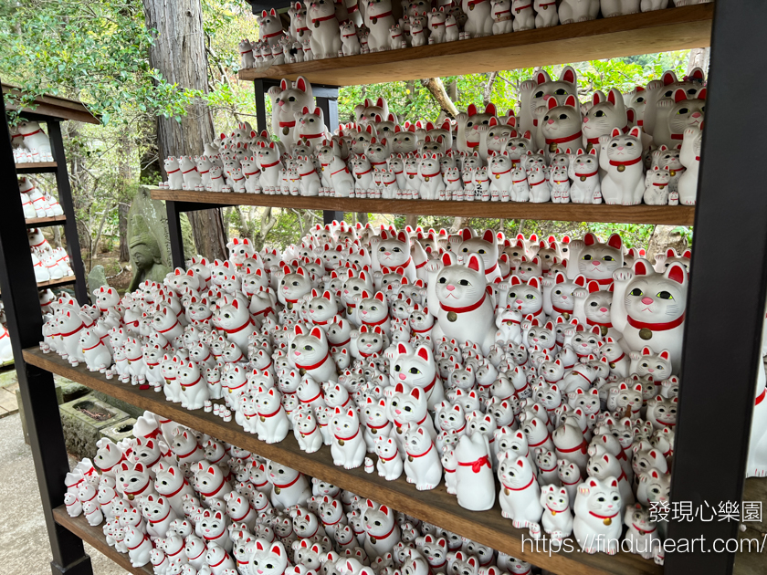 日本東京三大招財貓神社：世谷區豪德寺，除了招財還可以招福