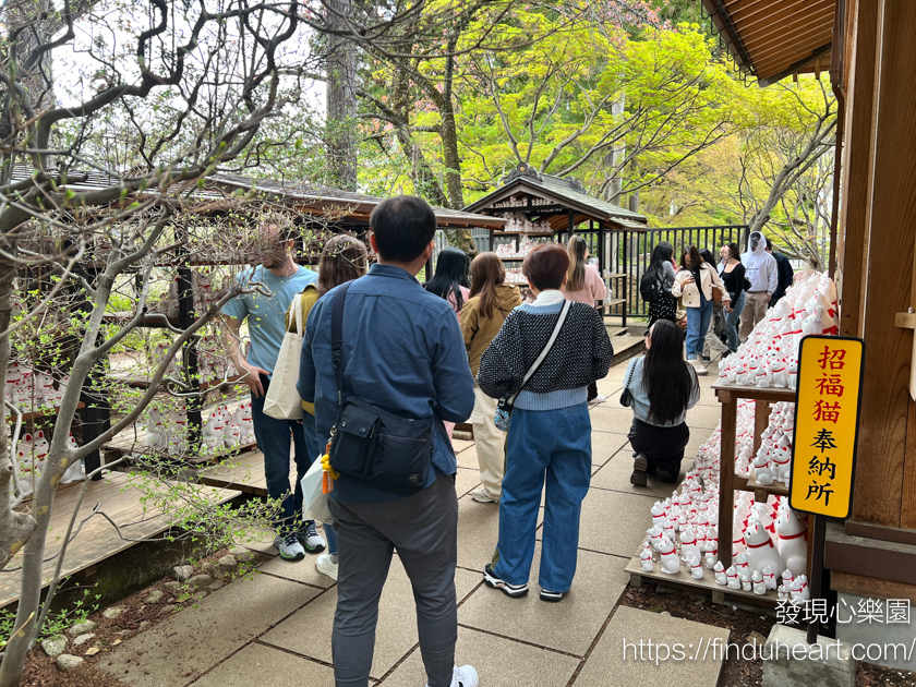日本東京三大招財貓神社：世谷區豪德寺，除了招財還可以招福