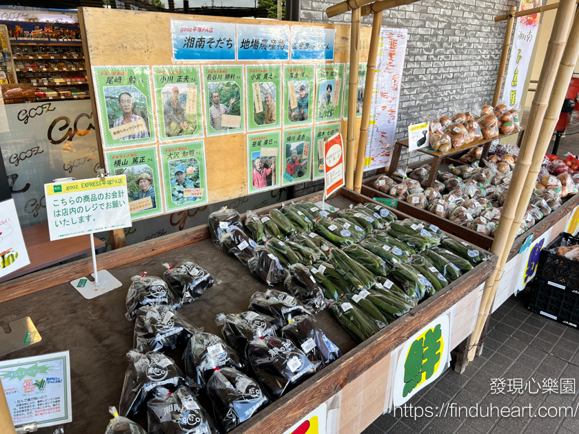 日本伊豆大室山巴士一日遊：熱海海岸線・大室山纜車・城崎海岸・伊東馬琳小鎮漫步
