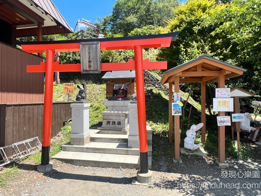 東京出發！富士山絕景巴士一日遊：忍野八海、河口湖天上山纜車、抹茶體驗、羅森LAWSON河口湖打卡