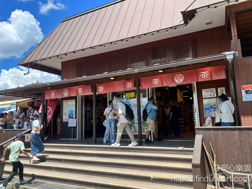 東京出發！富士山絕景巴士一日遊：忍野八海、河口湖天上山纜車、抹茶體驗、羅森LAWSON河口湖打卡