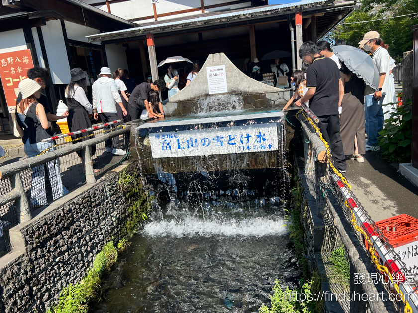 東京出發！富士山絕景巴士一日遊：忍野八海、河口湖天上山纜車、抹茶體驗、羅森LAWSON河口湖打卡