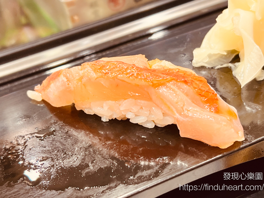 【東京豐洲市場美食】傳說中的「壽司大」!半夜排隊也甘願的神級 Omakase 握壽司全紀錄 【東京豐洲市場美食】傳說中的「壽司大」!半夜排隊也甘願的神級 Omakase 握壽司全紀錄