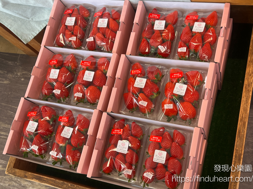 東京出發群馬巴士一日遊:松葉蟹吃到飽、滑雪場戲雪、採草莓,新宿出發免排隊 東京出發群馬巴士一日遊:松葉蟹吃到飽、滑雪場戲雪、採草莓,新宿出發免排隊