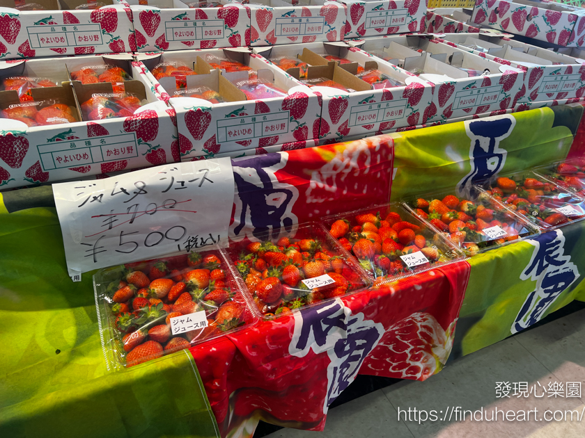 東京出發群馬巴士一日遊:松葉蟹吃到飽、滑雪場戲雪、採草莓,新宿出發免排隊 東京出發群馬巴士一日遊:松葉蟹吃到飽、滑雪場戲雪、採草莓,新宿出發免排隊