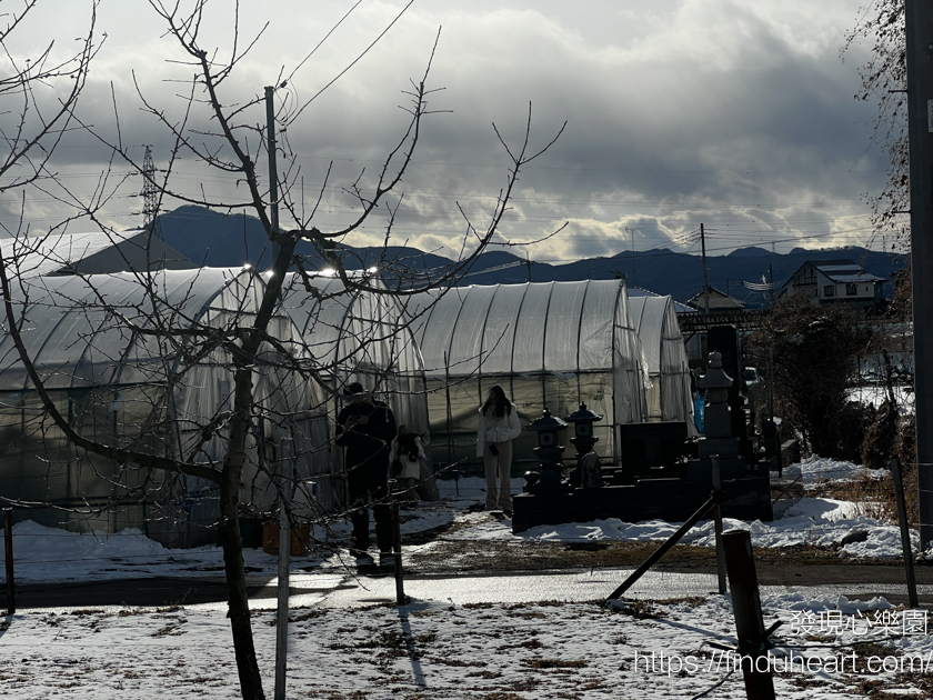 東京出發群馬巴士一日遊:松葉蟹吃到飽、滑雪場戲雪、採草莓,新宿出發免排隊 東京出發群馬巴士一日遊:松葉蟹吃到飽、滑雪場戲雪、採草莓,新宿出發免排隊