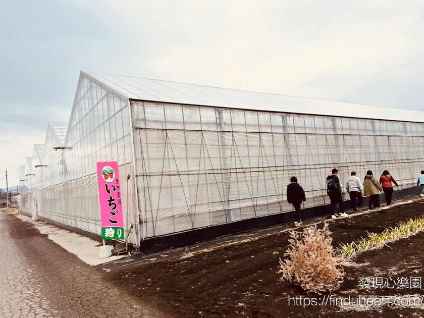 東京出發群馬巴士一日遊:松葉蟹吃到飽、滑雪場戲雪、採草莓,新宿出發免排隊 東京出發群馬巴士一日遊:松葉蟹吃到飽、滑雪場戲雪、採草莓,新宿出發免排隊