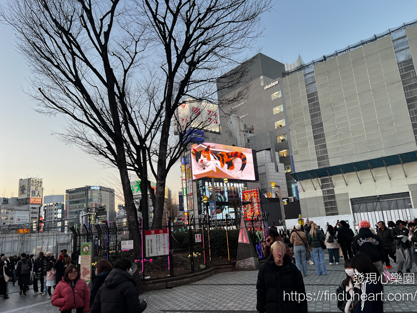 去新宿別錯過!直擊新宿東口「3D 貓」:地點、時間、表演方式 去新宿別錯過!直擊新宿東口「3D 貓」:地點、時間、表演方式