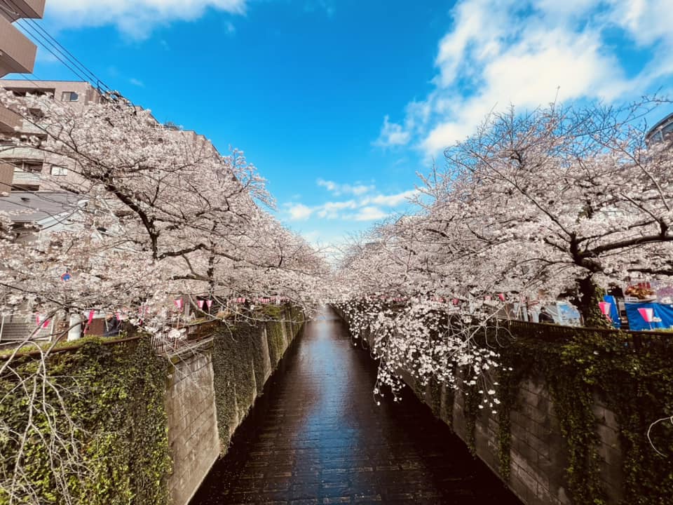 歡迎來到發現心樂園!熱愛日本美食與生活文化的自助旅行家 歡迎來到發現心樂園!熱愛日本美食與生活文化的自助旅行家