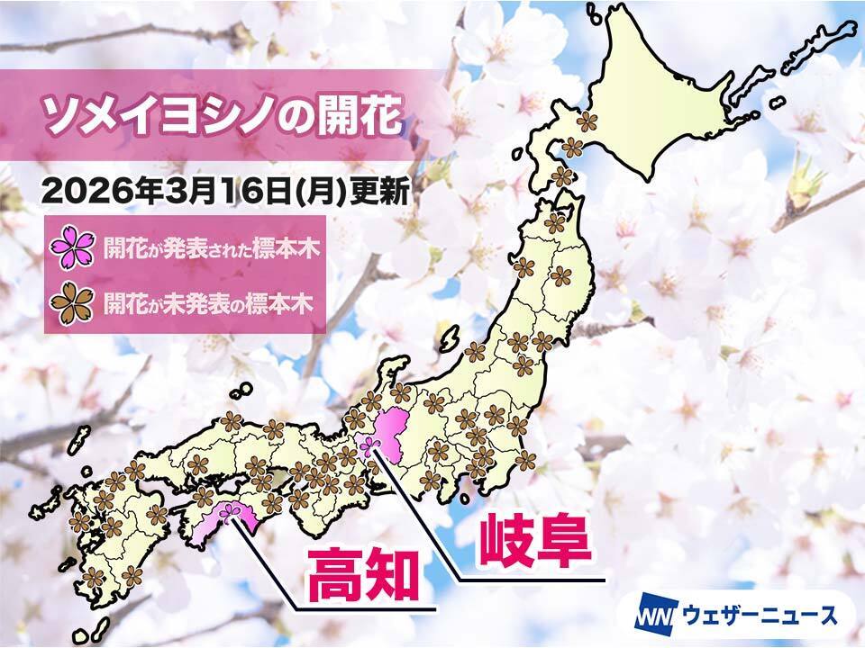 【2026日本櫻花】3/23最新滿開預測!東京、京都正式開花,四月晚鳥備案看這裡! 【2026日本櫻花】3/23最新滿開預測!東京、京都正式開花,四月晚鳥備案看這裡!