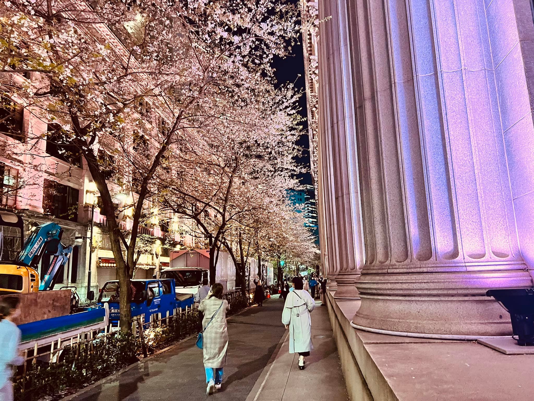 2026東京賞櫻推薦:日本橋江戶櫻花通,點亮百年建築的夢幻粉紅夜櫻 2026東京賞櫻推薦:日本橋江戶櫻花通,點亮百年建築的夢幻粉紅夜櫻