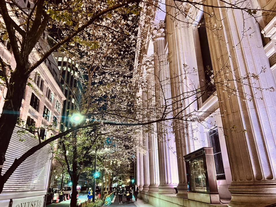 2026東京賞櫻推薦:日本橋江戶櫻花通,點亮百年建築的夢幻粉紅夜櫻 2026東京賞櫻推薦:日本橋江戶櫻花通,點亮百年建築的夢幻粉紅夜櫻