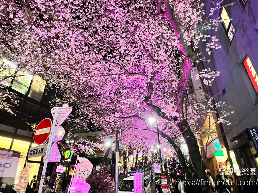 東京市區夜櫻景點推薦:2026澀谷櫻丘櫻花節,櫻花坂夜櫻點燈與粉紅燈籠海 東京市區夜櫻景點推薦:2026澀谷櫻丘櫻花節,櫻花坂夜櫻點燈與粉紅燈籠海