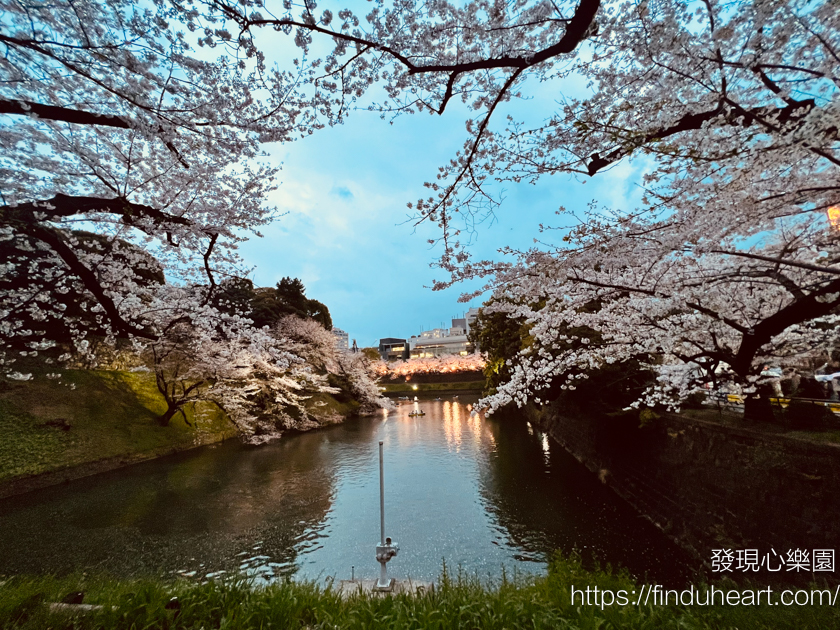 2026東京賞櫻必去:2026千代田櫻花祭,千鳥之淵夢幻夜櫻點燈與免排隊划船攻略 2026東京賞櫻必去:2026千代田櫻花祭,千鳥之淵夢幻夜櫻點燈與免排隊划船攻略