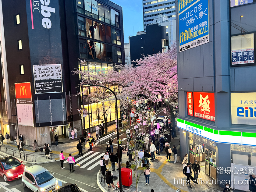 東京市區夜櫻景點推薦:2026澀谷櫻丘櫻花節,櫻花坂夜櫻點燈與粉紅燈籠海 東京市區夜櫻景點推薦:2026澀谷櫻丘櫻花節,櫻花坂夜櫻點燈與粉紅燈籠海