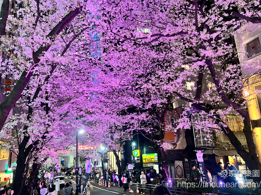 東京市區夜櫻景點推薦:2026澀谷櫻丘櫻花節,櫻花坂夜櫻點燈與粉紅燈籠海 東京市區夜櫻景點推薦:2026澀谷櫻丘櫻花節,櫻花坂夜櫻點燈與粉紅燈籠海