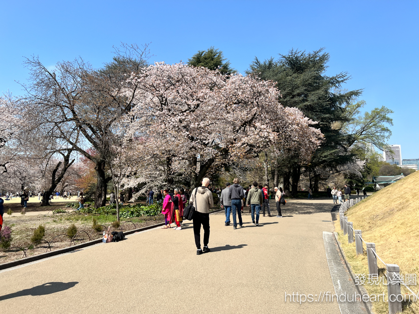 2026東京賞櫻首選!新宿御苑櫻花季預約教學,60種櫻花接力盛開,花期最長超好拍 2026東京賞櫻首選!新宿御苑櫻花季預約教學,60種櫻花接力盛開,花期最長超好拍
