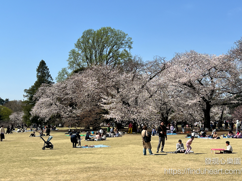 2026東京賞櫻首選!新宿御苑櫻花季預約教學,60種櫻花接力盛開,花期最長超好拍 2026東京賞櫻首選!新宿御苑櫻花季預約教學,60種櫻花接力盛開,花期最長超好拍
