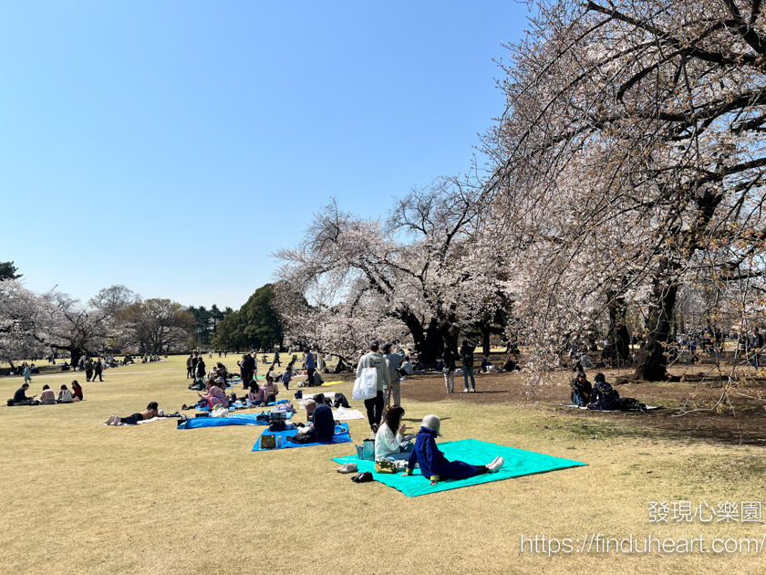 2026東京賞櫻首選!新宿御苑櫻花季預約教學,60種櫻花接力盛開,花期最長超好拍 2026東京賞櫻首選!新宿御苑櫻花季預約教學,60種櫻花接力盛開,花期最長超好拍