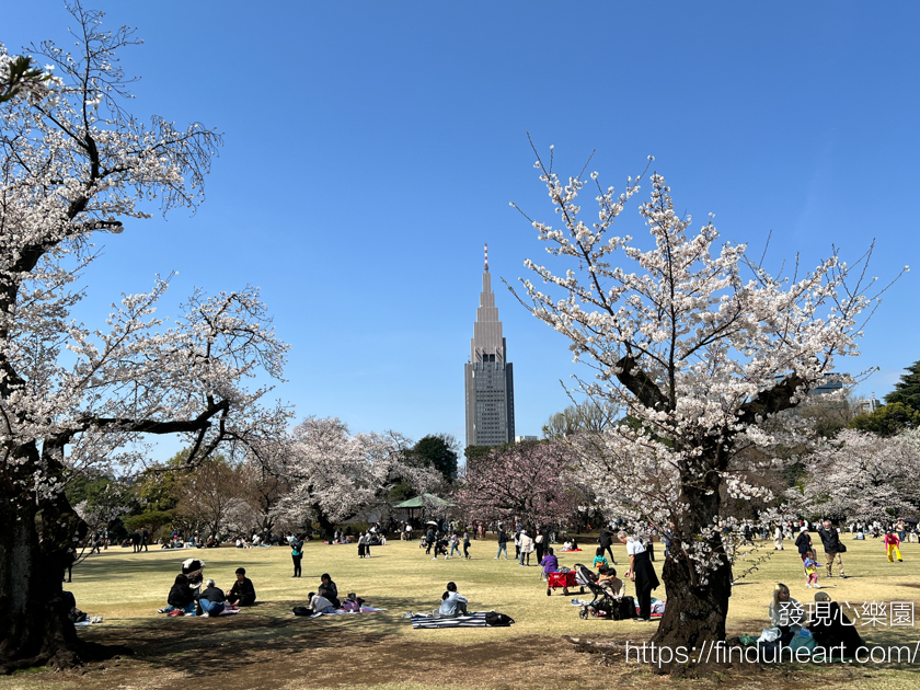2026東京賞櫻首選!新宿御苑櫻花季預約教學,60種櫻花接力盛開,花期最長超好拍 2026東京賞櫻首選!新宿御苑櫻花季預約教學,60種櫻花接力盛開,花期最長超好拍