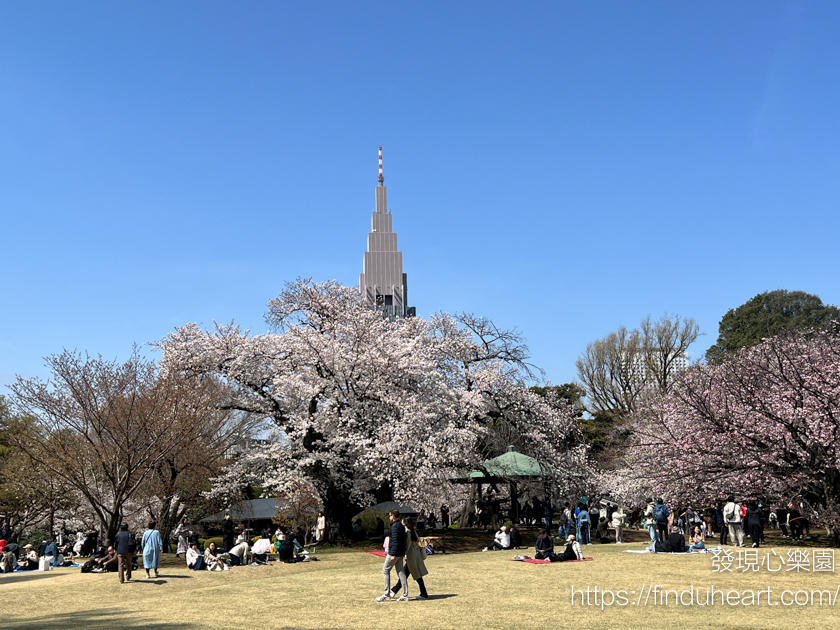 2026東京賞櫻首選!新宿御苑櫻花季預約教學,60種櫻花接力盛開,花期最長超好拍 2026東京賞櫻首選!新宿御苑櫻花季預約教學,60種櫻花接力盛開,花期最長超好拍