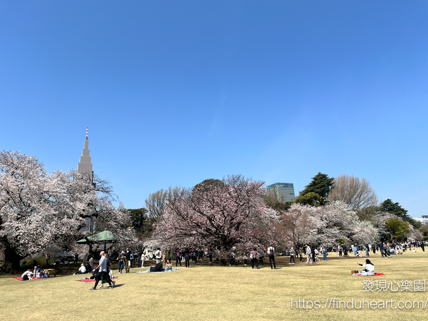 2026東京賞櫻首選!新宿御苑櫻花季預約教學,60種櫻花接力盛開,花期最長超好拍 2026東京賞櫻首選!新宿御苑櫻花季預約教學,60種櫻花接力盛開,花期最長超好拍