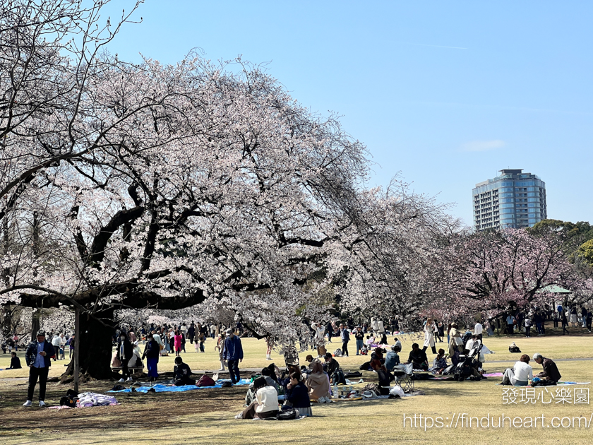 2026東京賞櫻首選!新宿御苑櫻花季預約教學,60種櫻花接力盛開,花期最長超好拍 2026東京賞櫻首選!新宿御苑櫻花季預約教學,60種櫻花接力盛開,花期最長超好拍