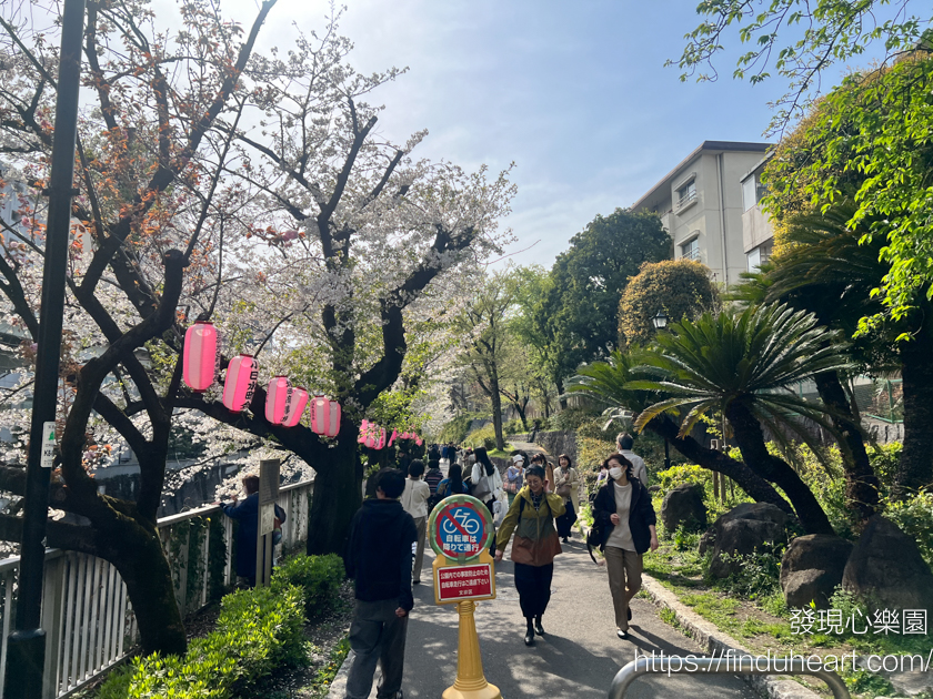 2026東京賞櫻秘境:神田川畔「江戶川公園」,避開人潮的粉色櫻花隧道 2026東京賞櫻秘境:神田川畔「江戶川公園」,避開人潮的粉色櫻花隧道