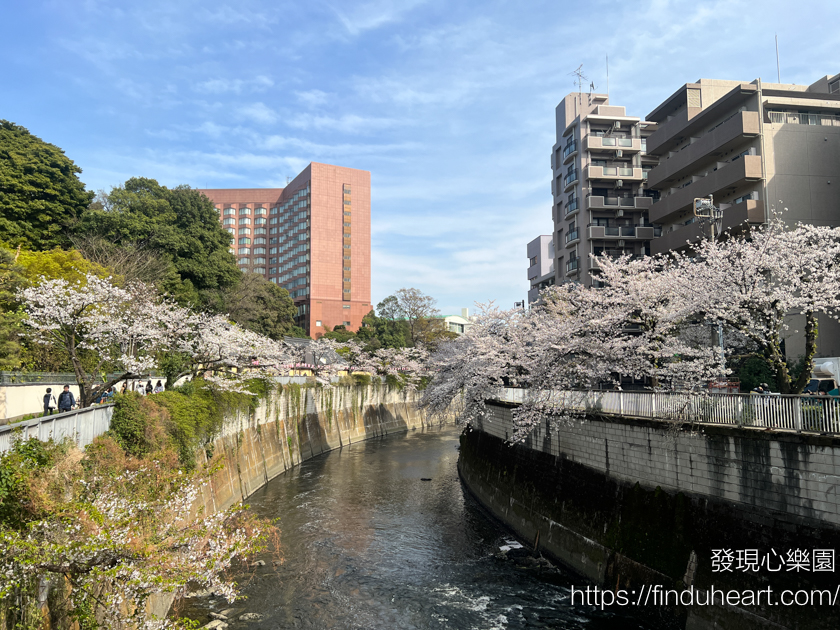 2026東京賞櫻秘境:神田川畔「江戶川公園」,避開人潮的粉色櫻花隧道 2026東京賞櫻秘境:神田川畔「江戶川公園」,避開人潮的粉色櫻花隧道