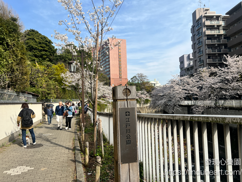 2026東京賞櫻秘境:神田川畔「江戶川公園」,避開人潮的粉色櫻花隧道 2026東京賞櫻秘境:神田川畔「江戶川公園」,避開人潮的粉色櫻花隧道